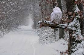HIVER